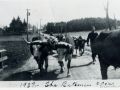 File0003 355