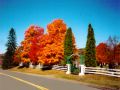 Bridgeville Cemetary01 31