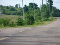 Elgin